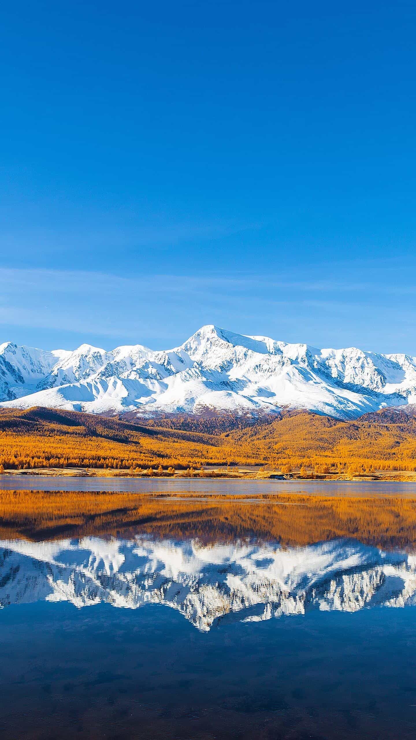 香港葵芳服务器：稳定高效，助您业务腾飞的数字基石